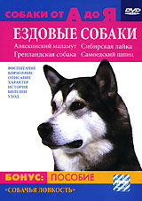 Собаки от А до Я: Ездовые собаки Формат: DVD (PAL) (Упрощенное издание) (Keep case) Дистрибьютор: Сейприс Региональный код: 5 Количество слоев: DVD-5 (1 слой) Звуковые дорожки: Русский Синхронный перевод инфо 6568l.