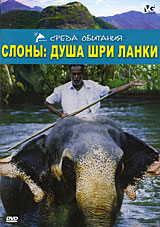 Слоны: душа Шри Ланки Серия: Среда обитания инфо 43m.