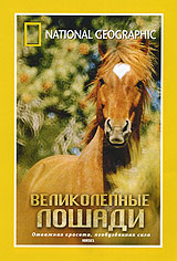 National Geographic: Великолепные лошади Формат: DVD (PAL) (Super jewel case) Дистрибьютор: Парадиз Видео Региональный код: 5 Количество слоев: DVD-5 (1 слой) Звуковые дорожки: Русский Синхронный перевод Dolby инфо 12700b.