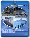 Discovery: Туристические жемчужины Диск 1 (Blu-ray) Сериал: Discovery: Туристические жемчужины инфо 13257b.