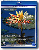 Живые пейзажи: Бали (Blu-ray) Формат: Blu-ray (PAL) (Keep case) Дистрибьютор: Правильное кино Региональный код: С Количество слоев: BD-25 (1 слой) Звуковые дорожки: Uncompressed PCM 5 1 DTS-HD 7 1 Формат инфо 430d.